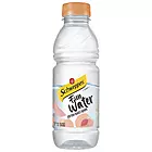 Schweppes - Small - Fun Water Peach (500ml)