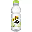 Schweppes - Small - Fun Water Apple (500ml)