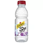 Schweppes - Small - Fun Water Grape (500ml)