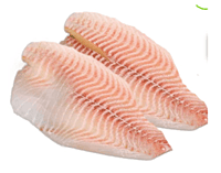 Frozen - Tilapia (10lbs)