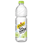 Schweppes - Large - Fun Water Apple (1.5L)