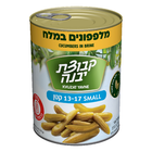 Kvutzat Yavne - Cucumber in Brine Small (13-17) (19.7oz)