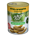 Kvutzat Yavne - Cucumber in Brine medium (10-12)(19.7oz)