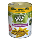 Kvutzat Yavne - Cucumber in Brine Tiny l(18-25) (19.7oz)