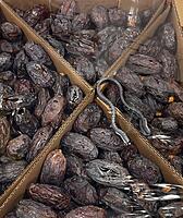 Erel Dates - Medjool Date Jambo (11lbs)