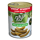 Kvutzat Yavne - Cucumber in Vinegar Medium (10-12) (19.7oz)