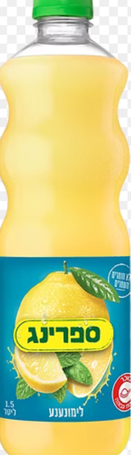 Spring - Bottle - Limonana (1.5L)