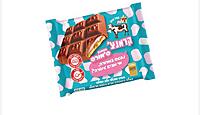 Elite-Cho-Reg- Crunch S’mores Bar (3.5oz)